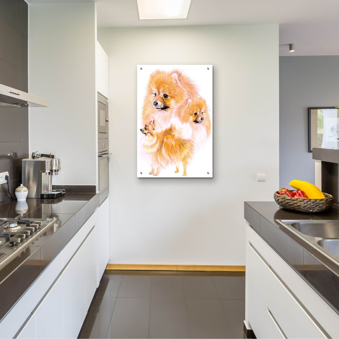 Epic Art 'Pomeranian' by Barbara Keith, Acrylic Glass Wall Art,24x36