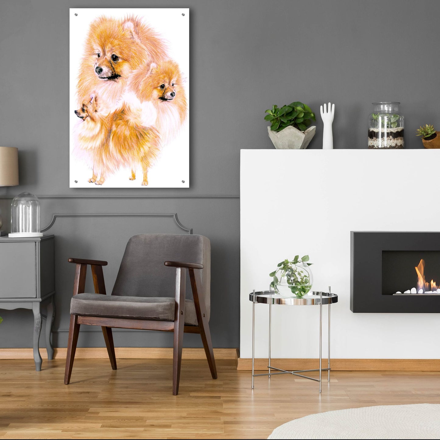 Epic Art 'Pomeranian' by Barbara Keith, Acrylic Glass Wall Art,24x36