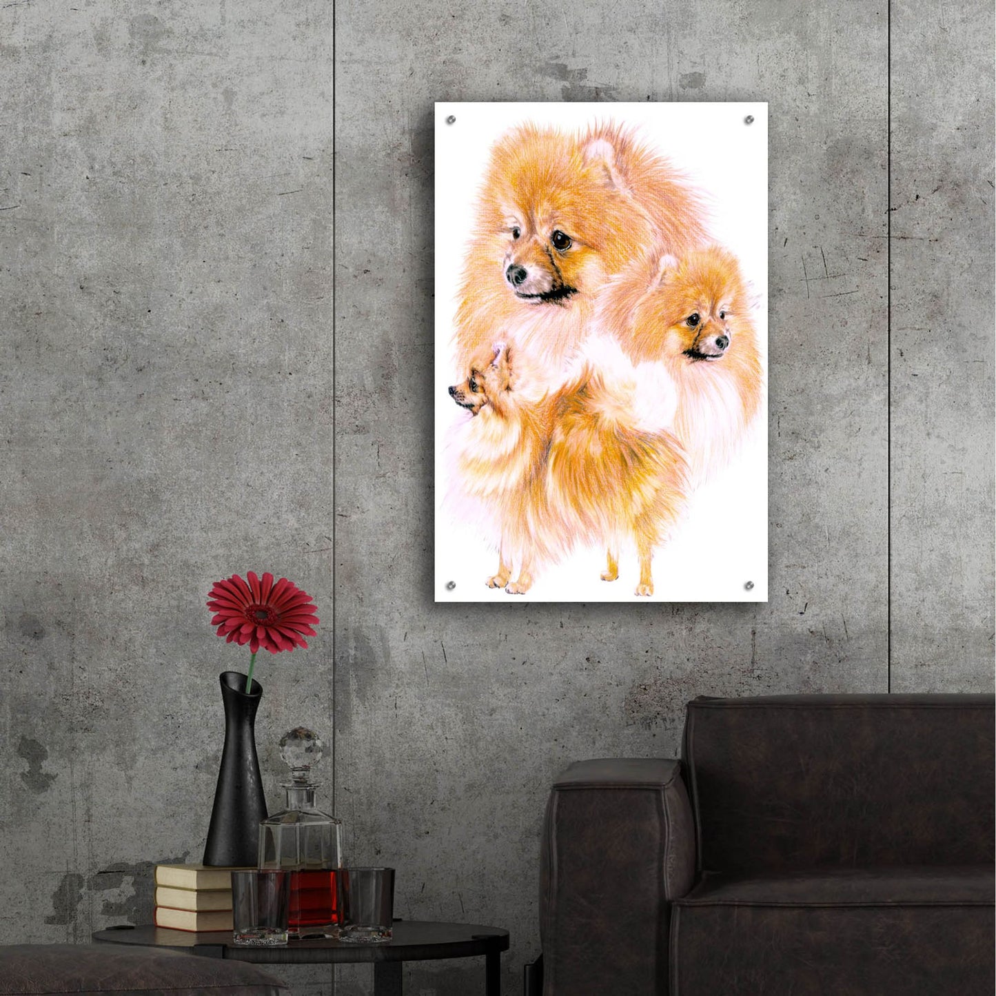 Epic Art 'Pomeranian' by Barbara Keith, Acrylic Glass Wall Art,24x36