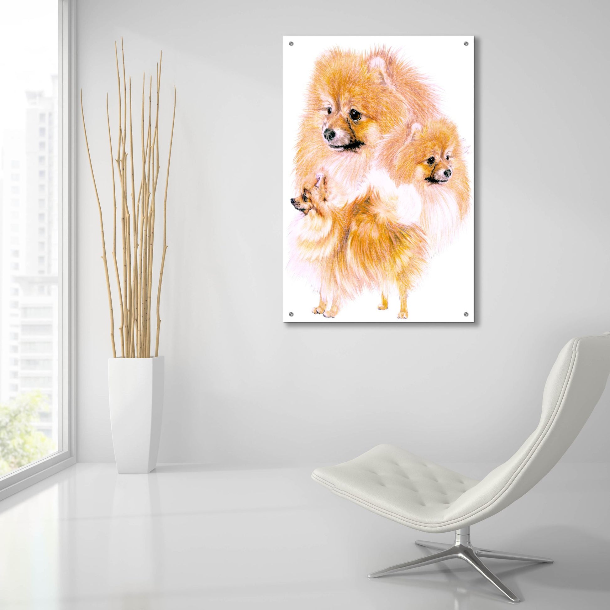 Epic Art 'Pomeranian' by Barbara Keith, Acrylic Glass Wall Art,24x36