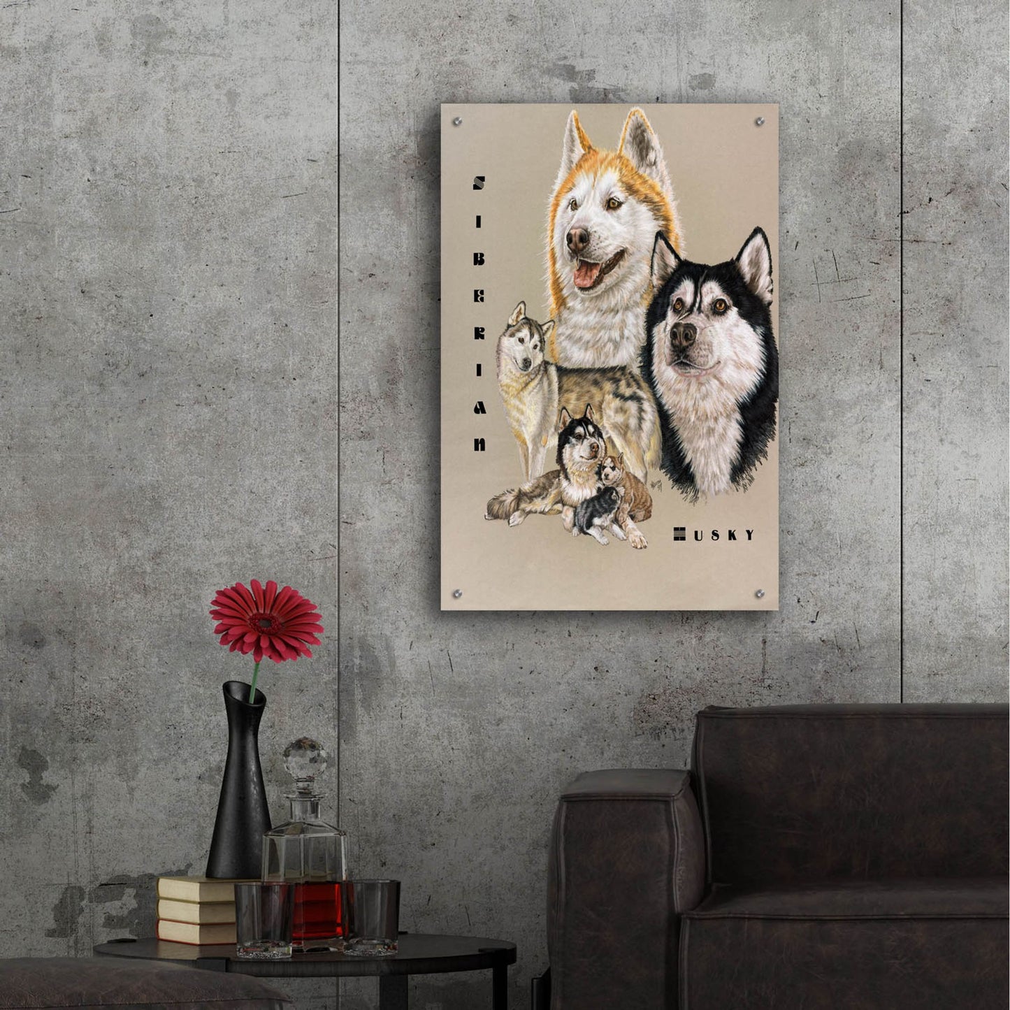 Epic Art 'Siberian Husky' by Barbara Keith, Acrylic Glass Wall Art,24x36