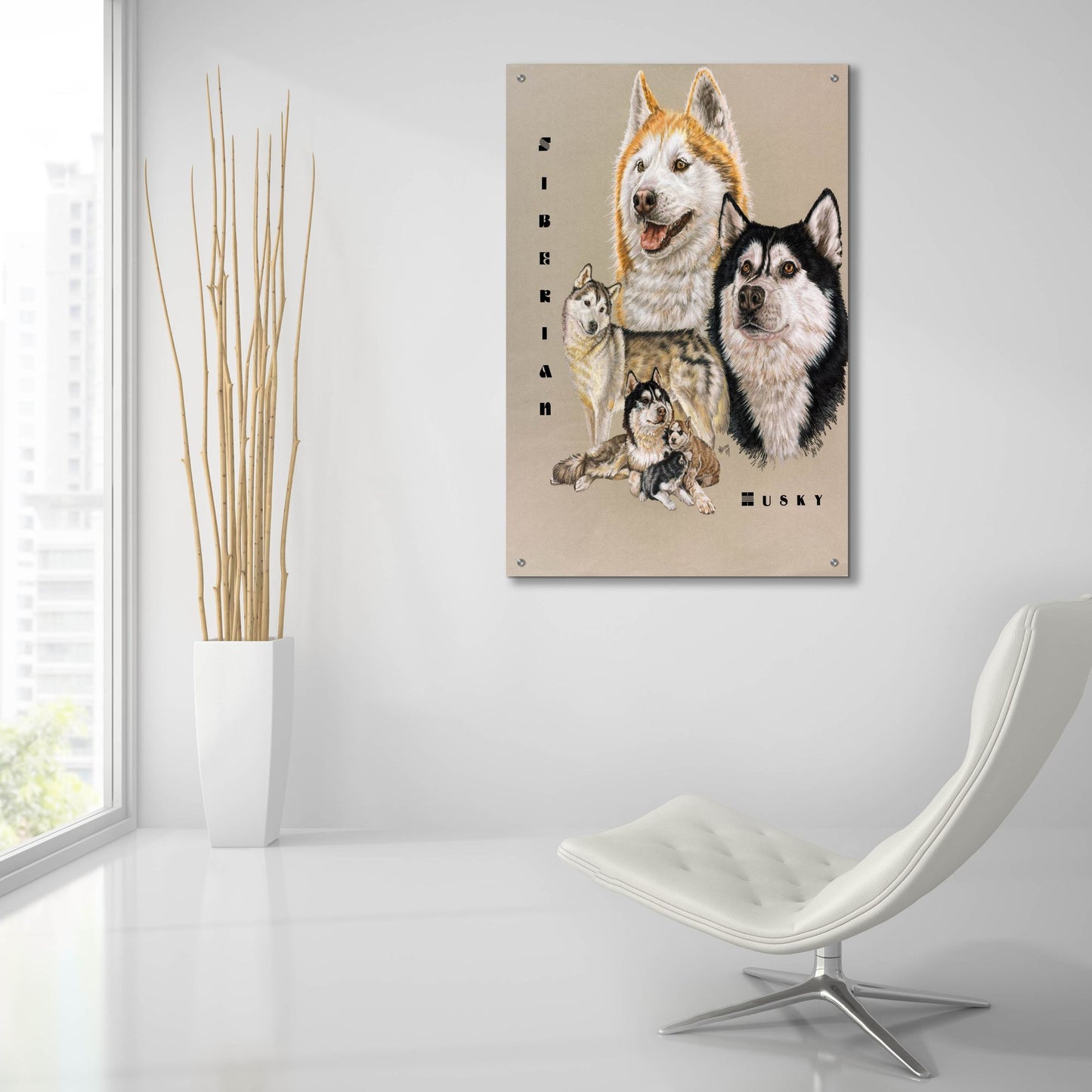 Epic Art 'Siberian Husky' by Barbara Keith, Acrylic Glass Wall Art,24x36