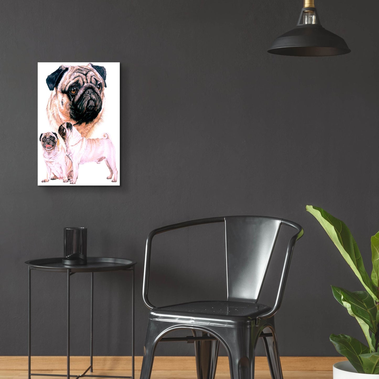 Epic Art 'Pug' by Barbara Keith, Acrylic Glass Wall Art,16x24