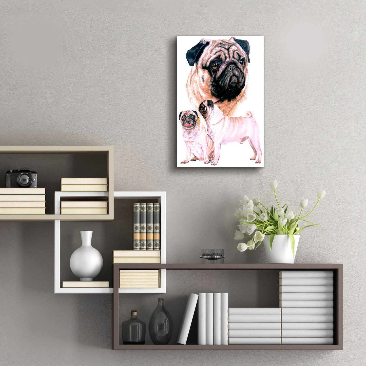 Epic Art 'Pug' by Barbara Keith, Acrylic Glass Wall Art,16x24