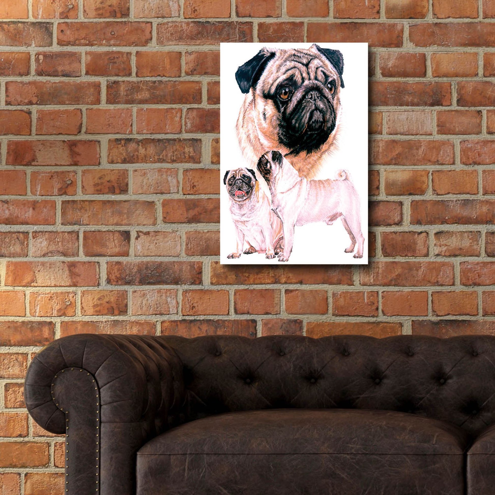 Epic Art 'Pug' by Barbara Keith, Acrylic Glass Wall Art,16x24