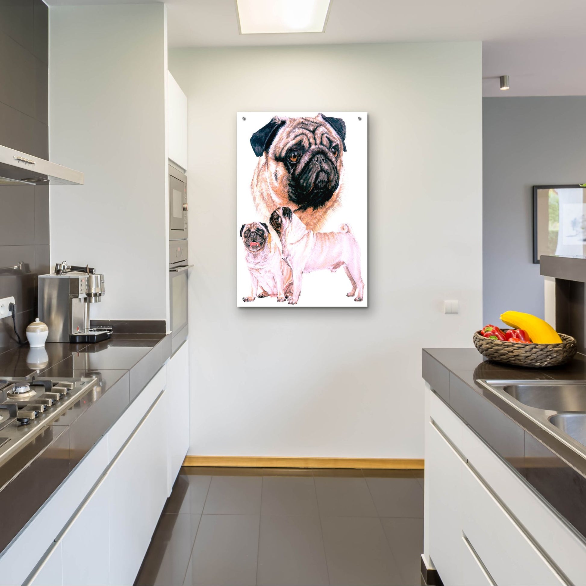 Epic Art 'Pug' by Barbara Keith, Acrylic Glass Wall Art,24x36