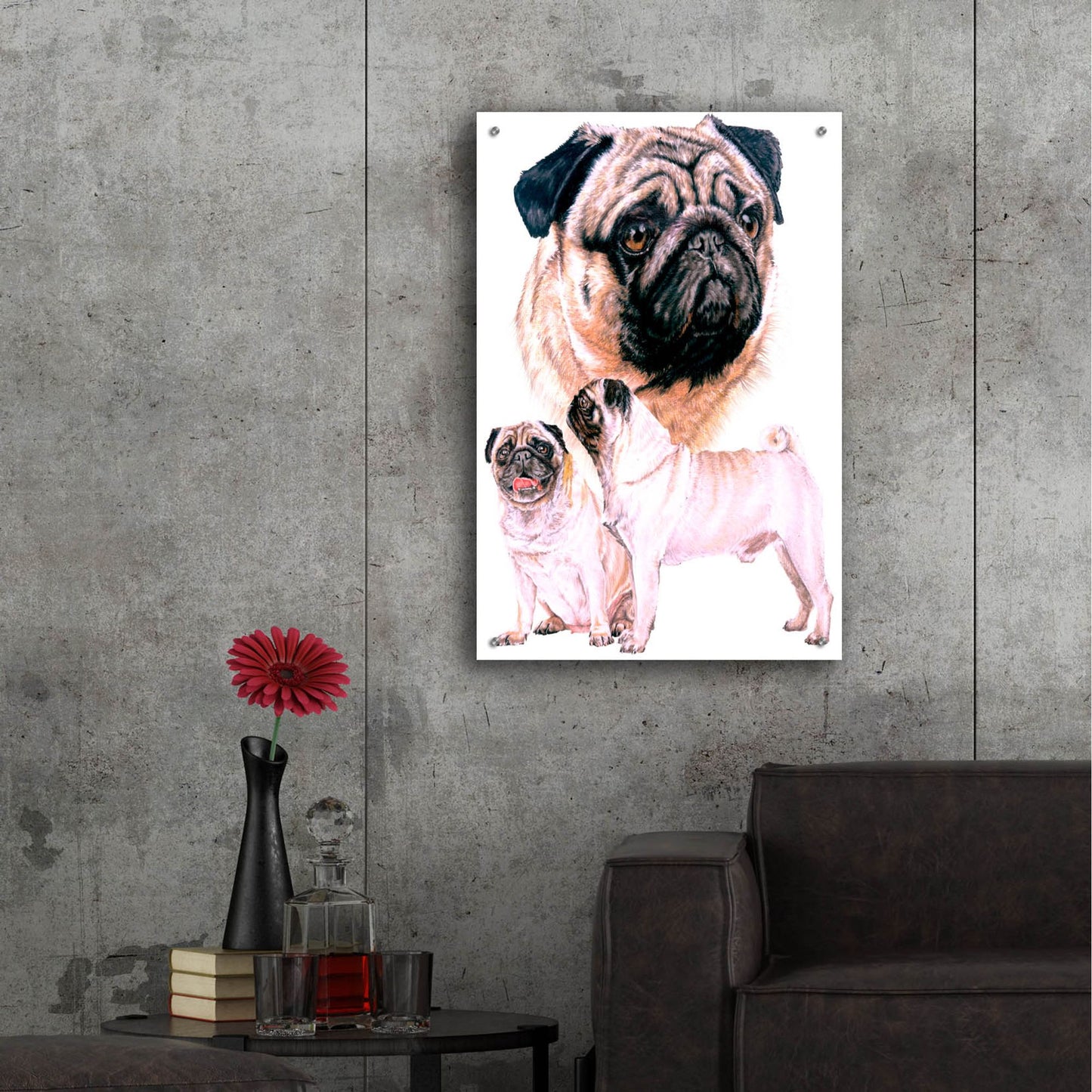 Epic Art 'Pug' by Barbara Keith, Acrylic Glass Wall Art,24x36