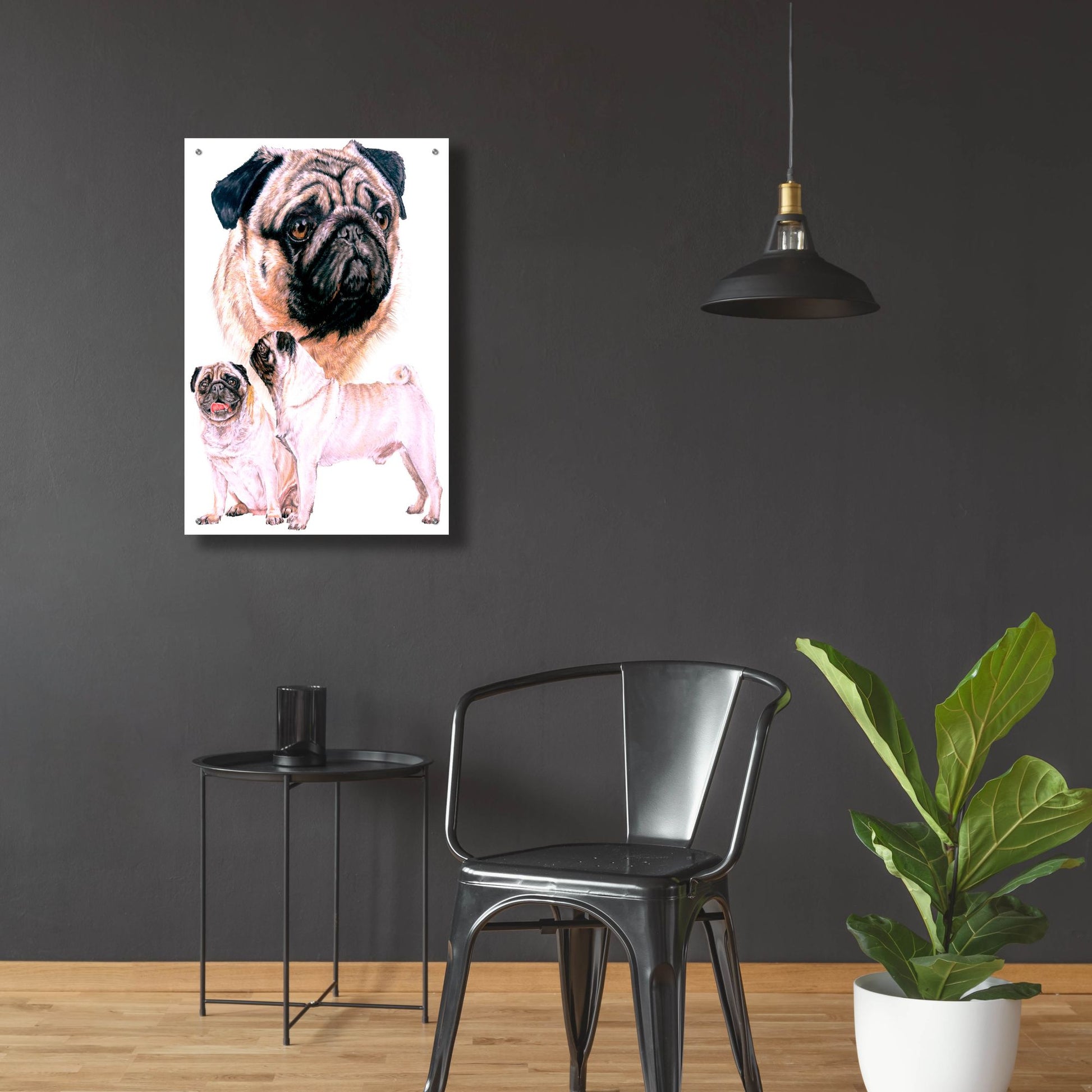 Epic Art 'Pug' by Barbara Keith, Acrylic Glass Wall Art,24x36