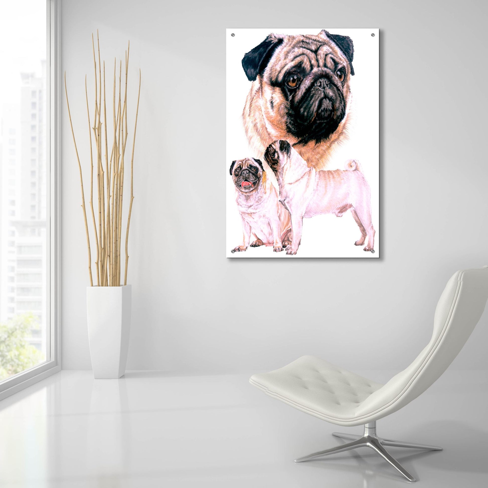 Epic Art 'Pug' by Barbara Keith, Acrylic Glass Wall Art,24x36