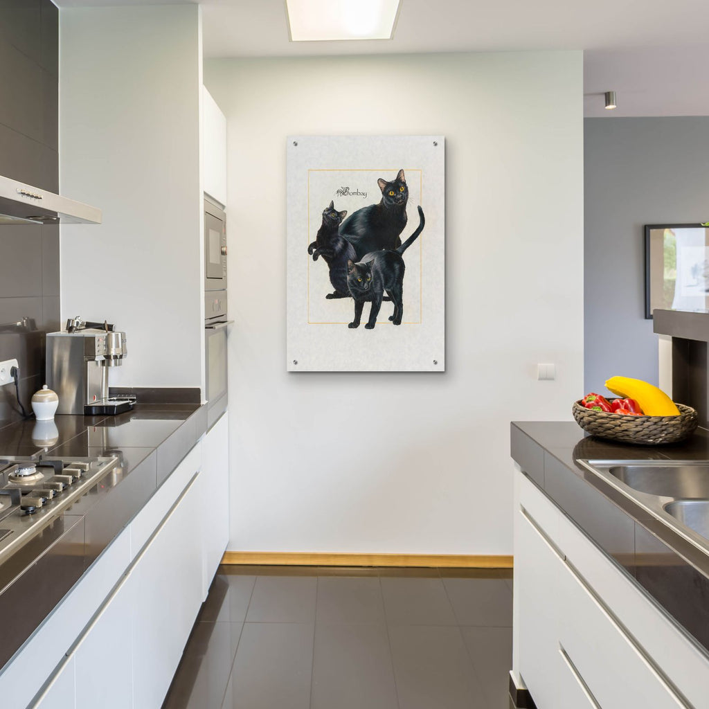 Bombay by Barbara Keith - 24x36 acrylic wall art in a room