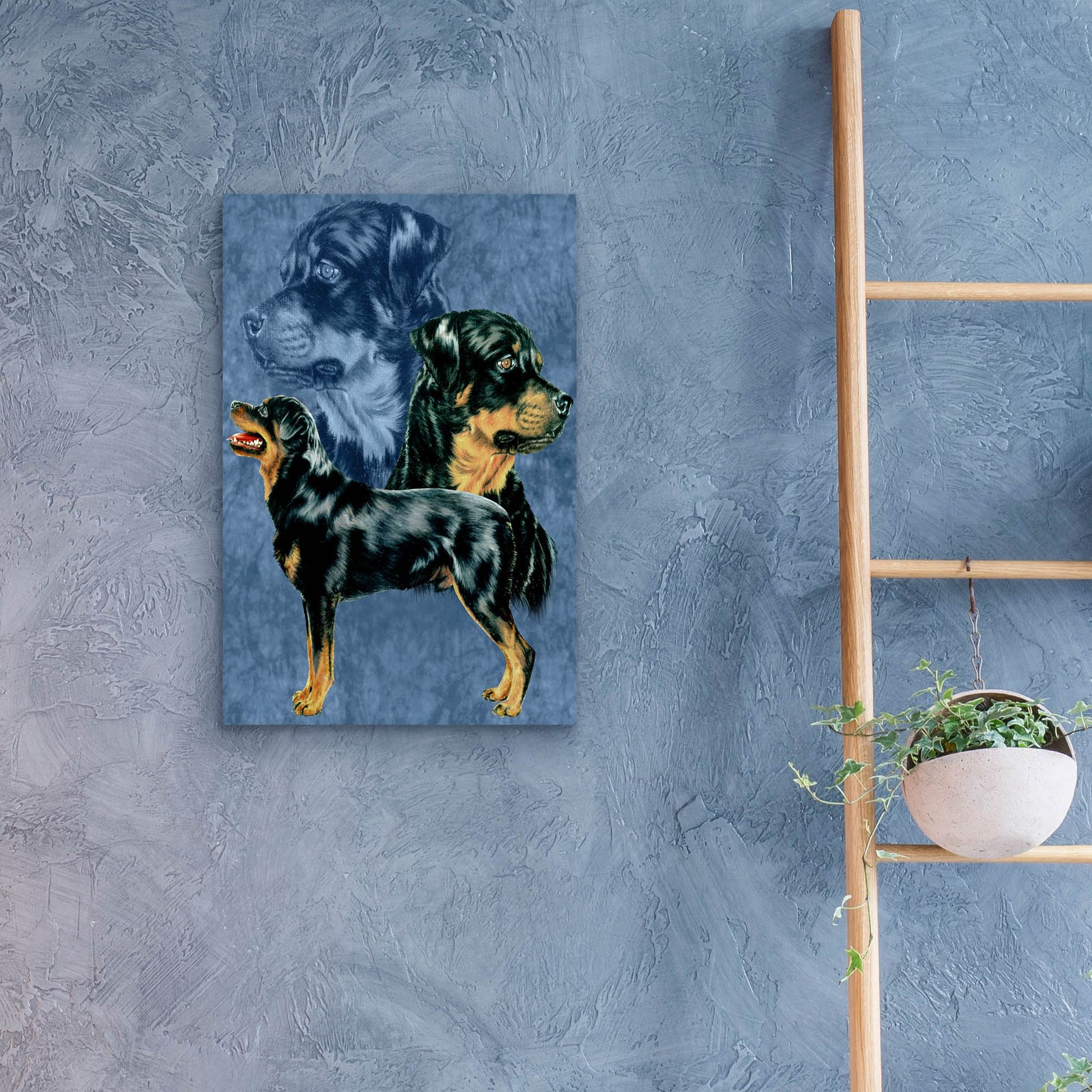 Epic Art 'Rottweiller' by Barbara Keith, Acrylic Glass Wall Art,16x24