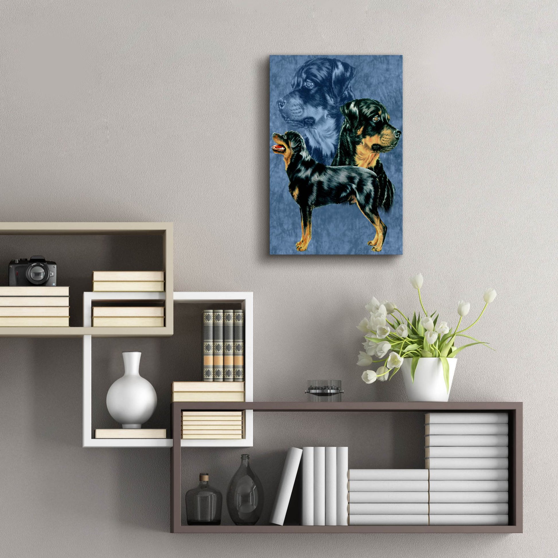 Epic Art 'Rottweiller' by Barbara Keith, Acrylic Glass Wall Art,16x24