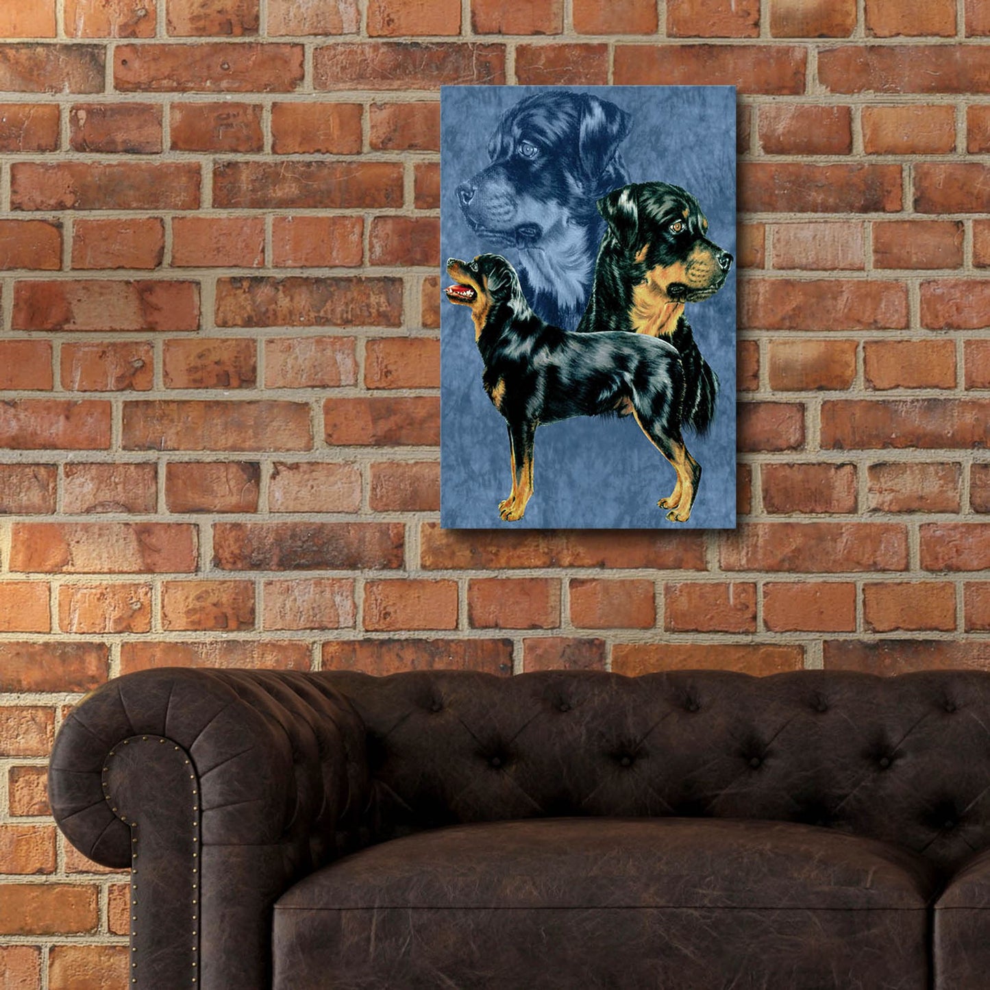 Epic Art 'Rottweiller' by Barbara Keith, Acrylic Glass Wall Art,16x24