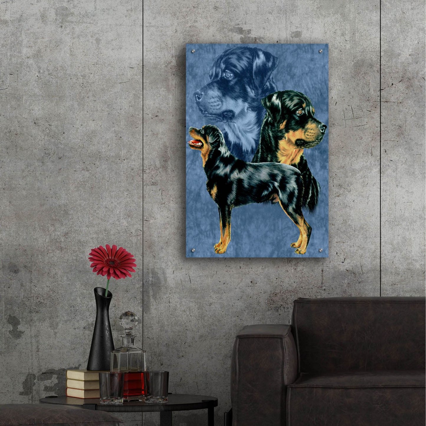 Epic Art 'Rottweiller' by Barbara Keith, Acrylic Glass Wall Art,24x36