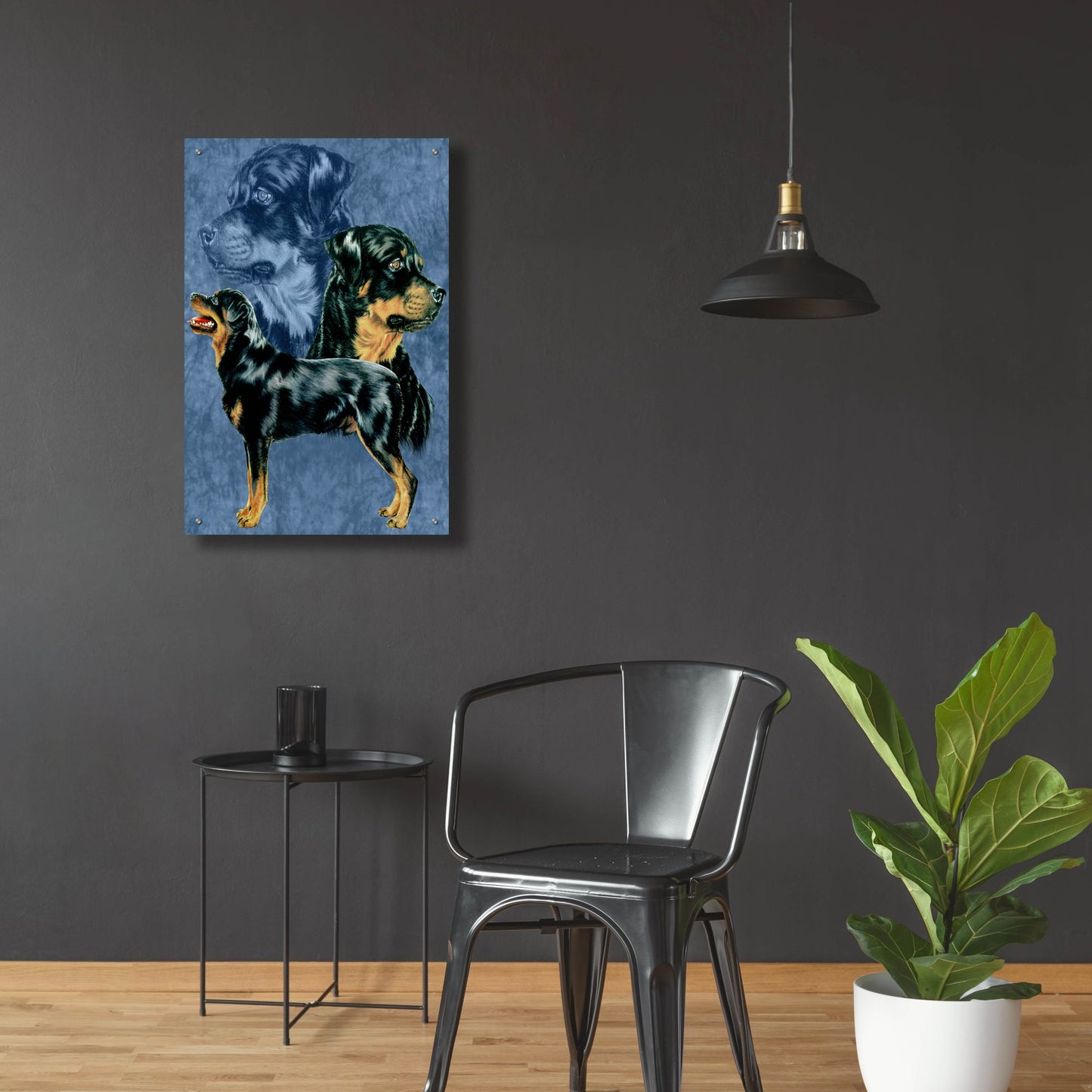 Epic Art 'Rottweiller' by Barbara Keith, Acrylic Glass Wall Art,24x36