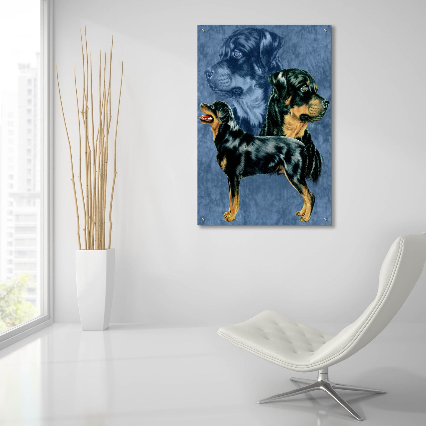 Epic Art 'Rottweiller' by Barbara Keith, Acrylic Glass Wall Art,24x36