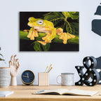 Musky Flying Frog by Barbara Keith - 16x12 acrylic wall art in a room