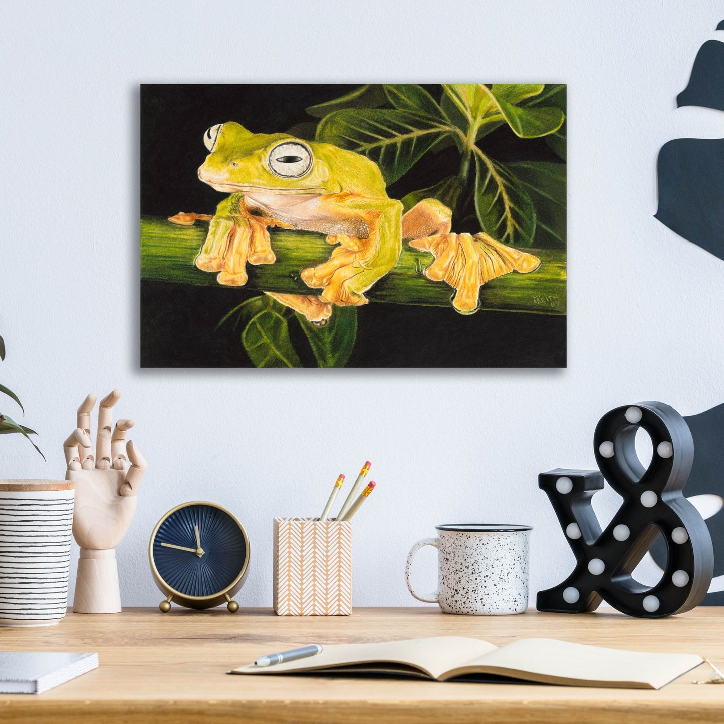 Epic Art 'Musky Flying Frog' by Barbara Keith, Acrylic Glass Wall Art,16x12