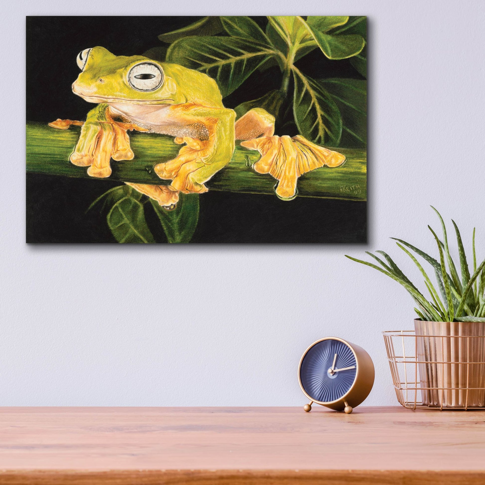 Epic Art 'Musky Flying Frog' by Barbara Keith, Acrylic Glass Wall Art,16x12