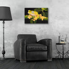 Musky Flying Frog by Barbara Keith - 24x16 acrylic wall art in a room