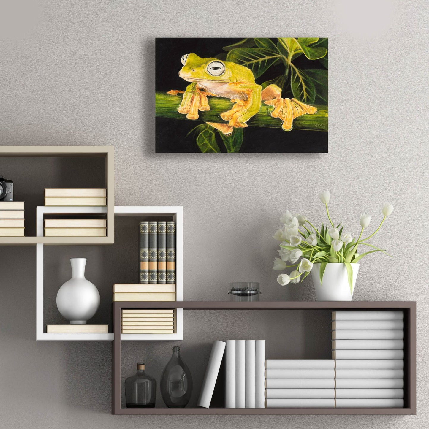 Epic Art 'Musky Flying Frog' by Barbara Keith, Acrylic Glass Wall Art,24x16