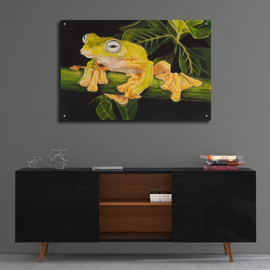 Musky Flying Frog by Barbara Keith - 36x24 acrylic wall art in a room