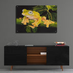 Musky Flying Frog by Barbara Keith - 36x24 acrylic wall art in a room