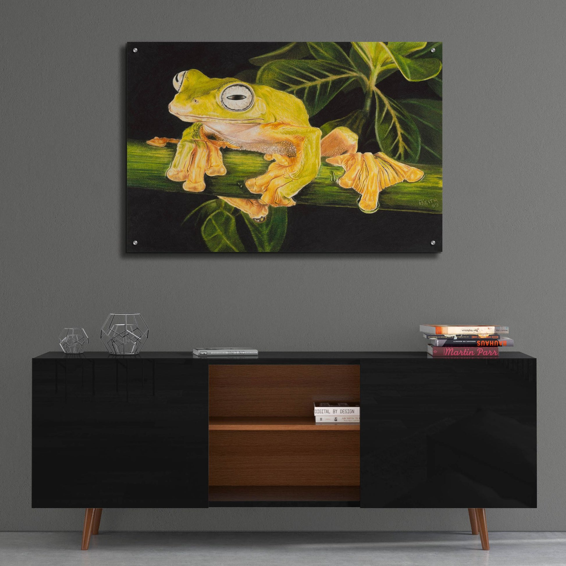 Epic Art 'Musky Flying Frog' by Barbara Keith, Acrylic Glass Wall Art,36x24