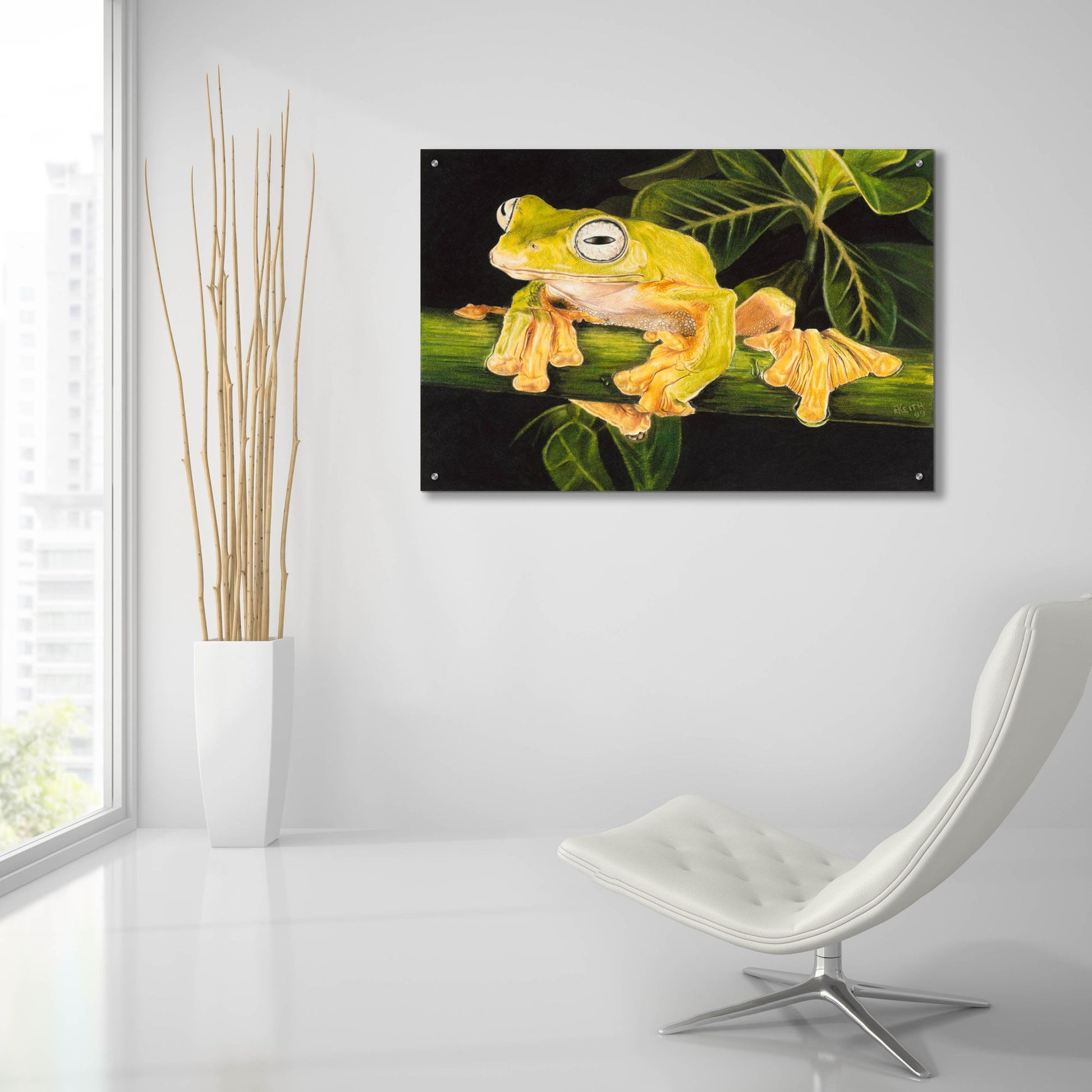 Epic Art 'Musky Flying Frog' by Barbara Keith, Acrylic Glass Wall Art,36x24