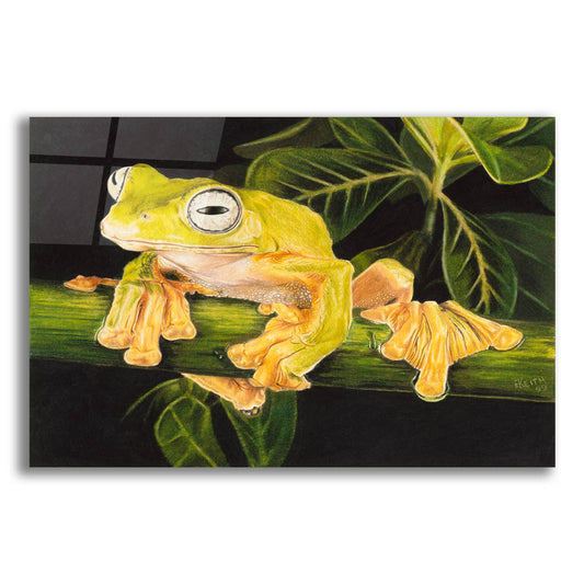 Epic Art 'Musky Flying Frog' by Barbara Keith, Acrylic Glass Wall Art