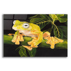 Musky Flying Frog by Barbara Keith acrylic glass wall art