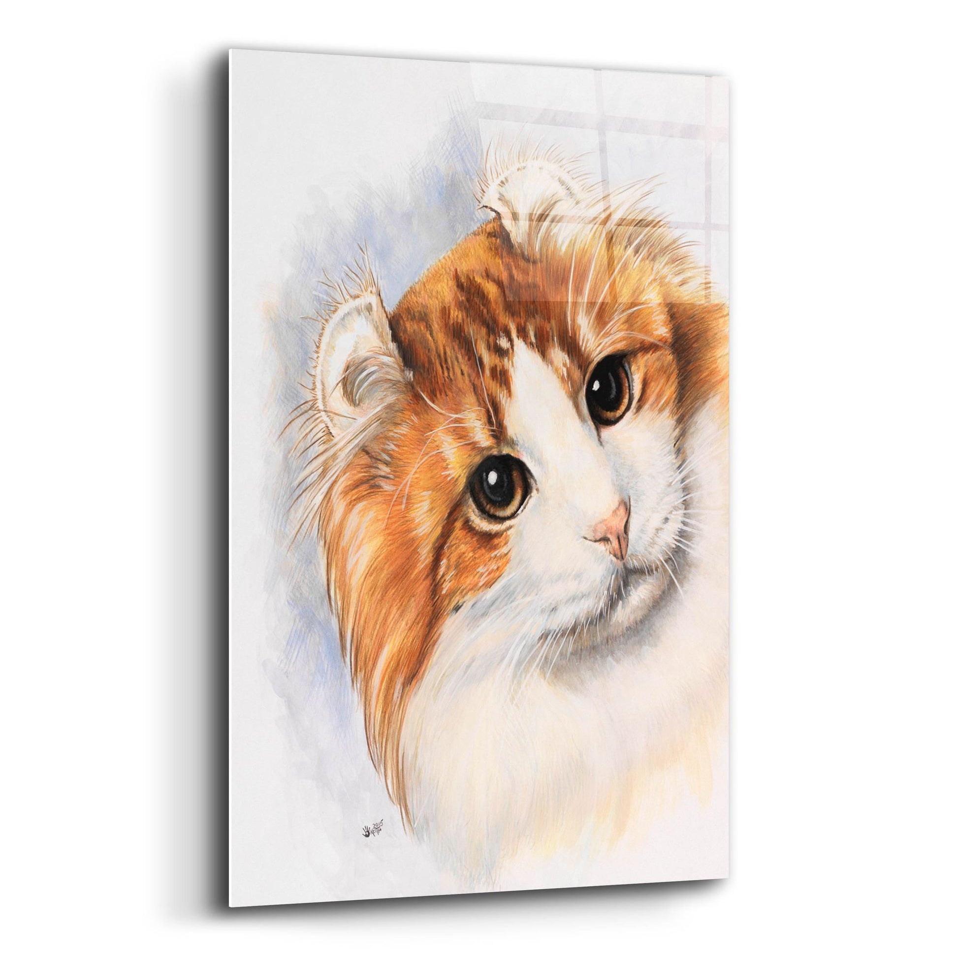 Epic Art 'American Curl 2' by Barbara Keith, Acrylic Glass Wall Art,12x16