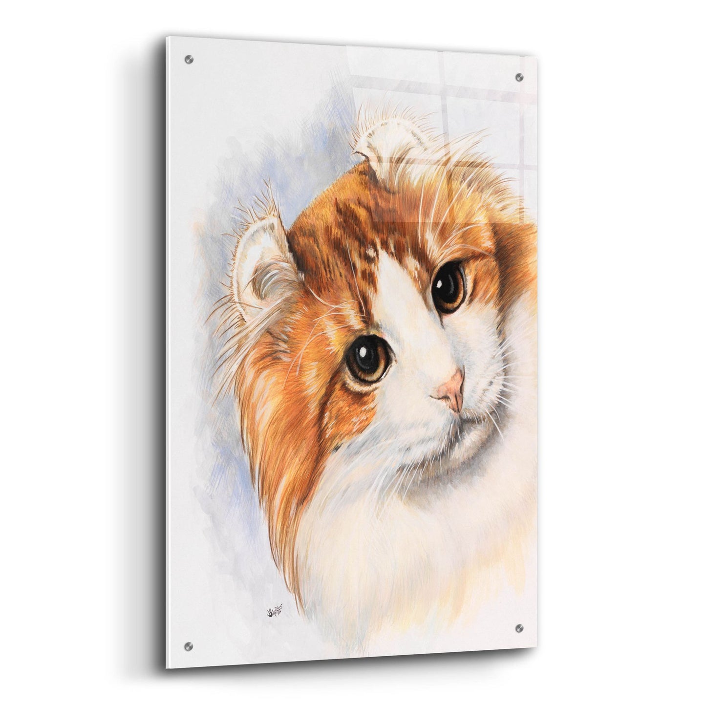 Epic Art 'American Curl 2' by Barbara Keith, Acrylic Glass Wall Art,24x36