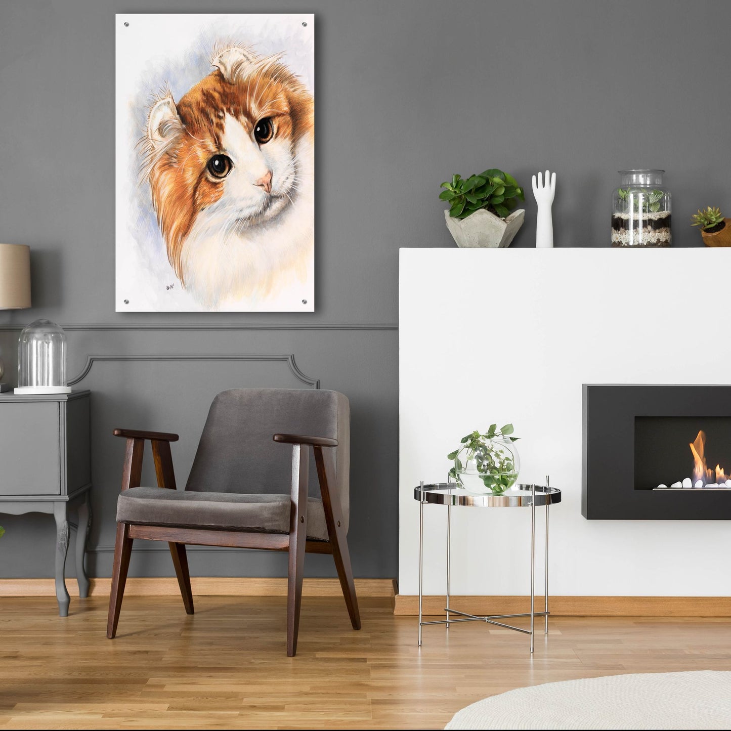 Epic Art 'American Curl 2' by Barbara Keith, Acrylic Glass Wall Art,24x36