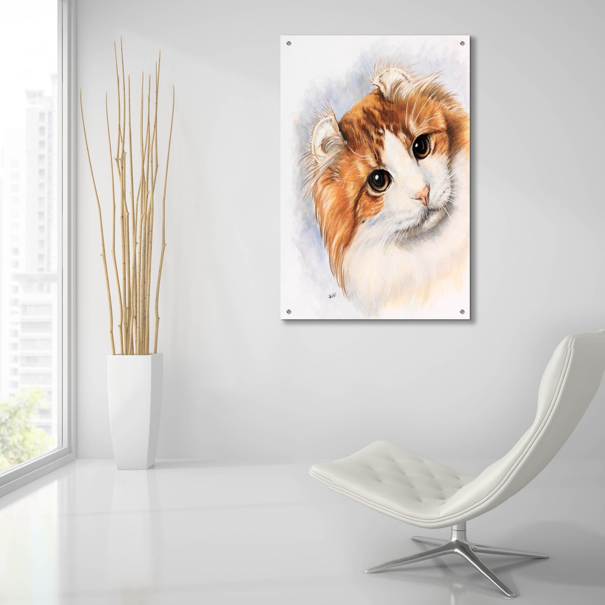 Epic Art 'American Curl 2' by Barbara Keith, Acrylic Glass Wall Art,24x36