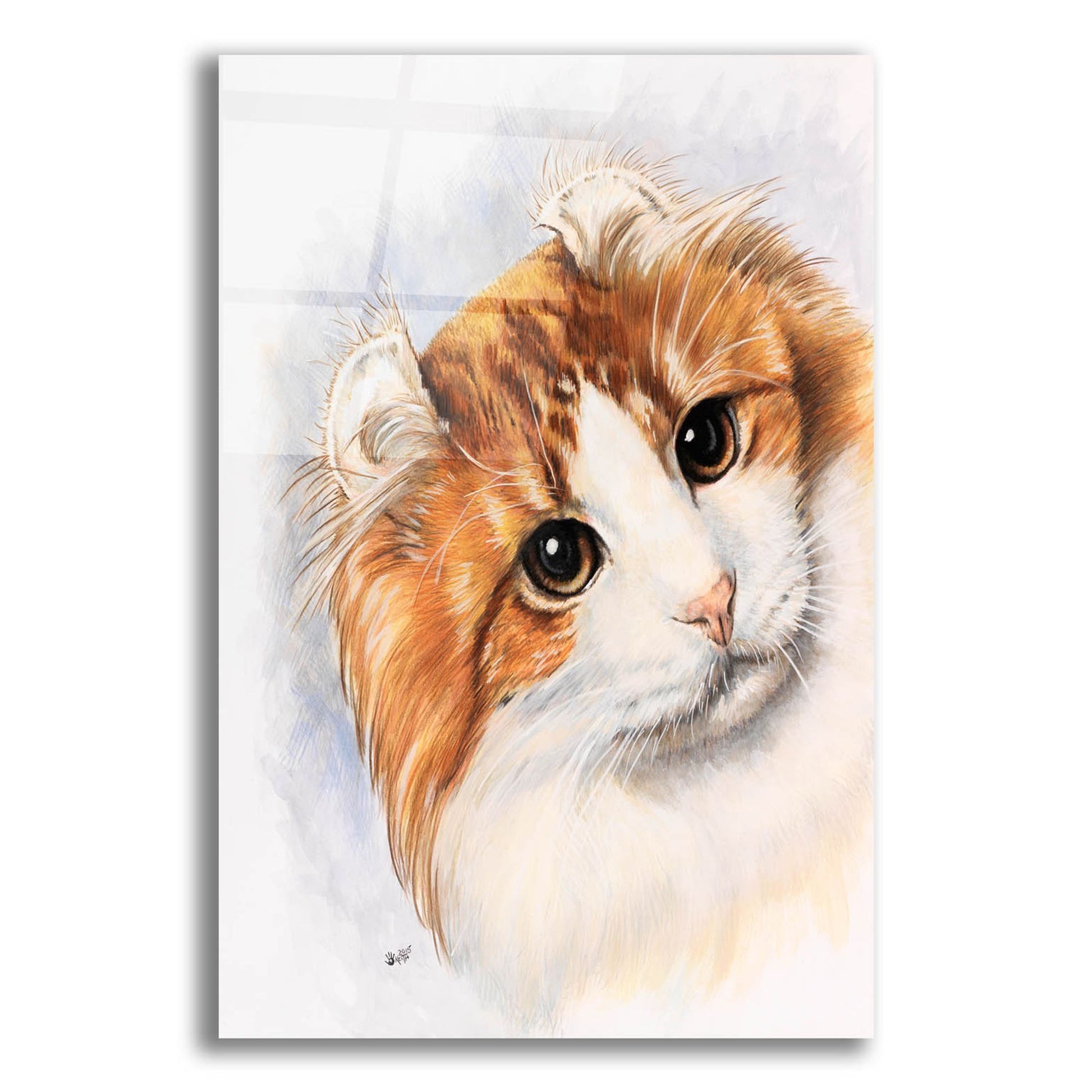 Epic Art 'American Curl 2' by Barbara Keith, Acrylic Glass Wall Art