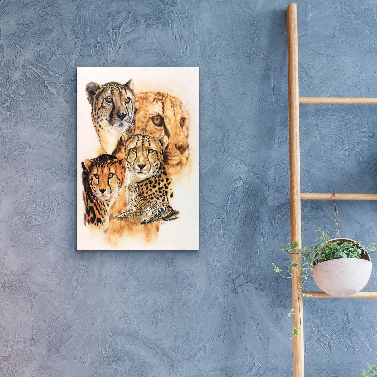 Expeditious by Barbara Keith - 16x24 acrylic wall art in a room