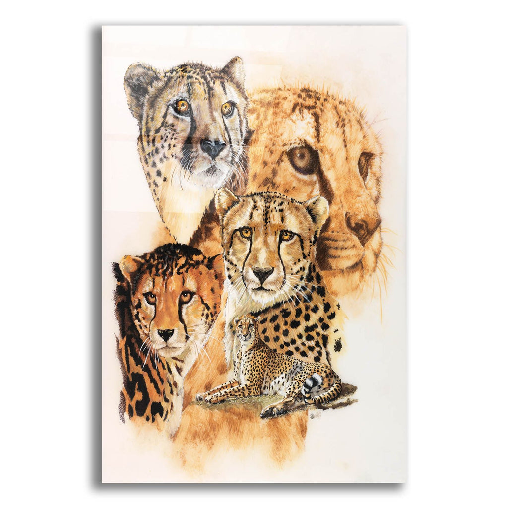 Expeditious by Barbara Keith acrylic glass wall art