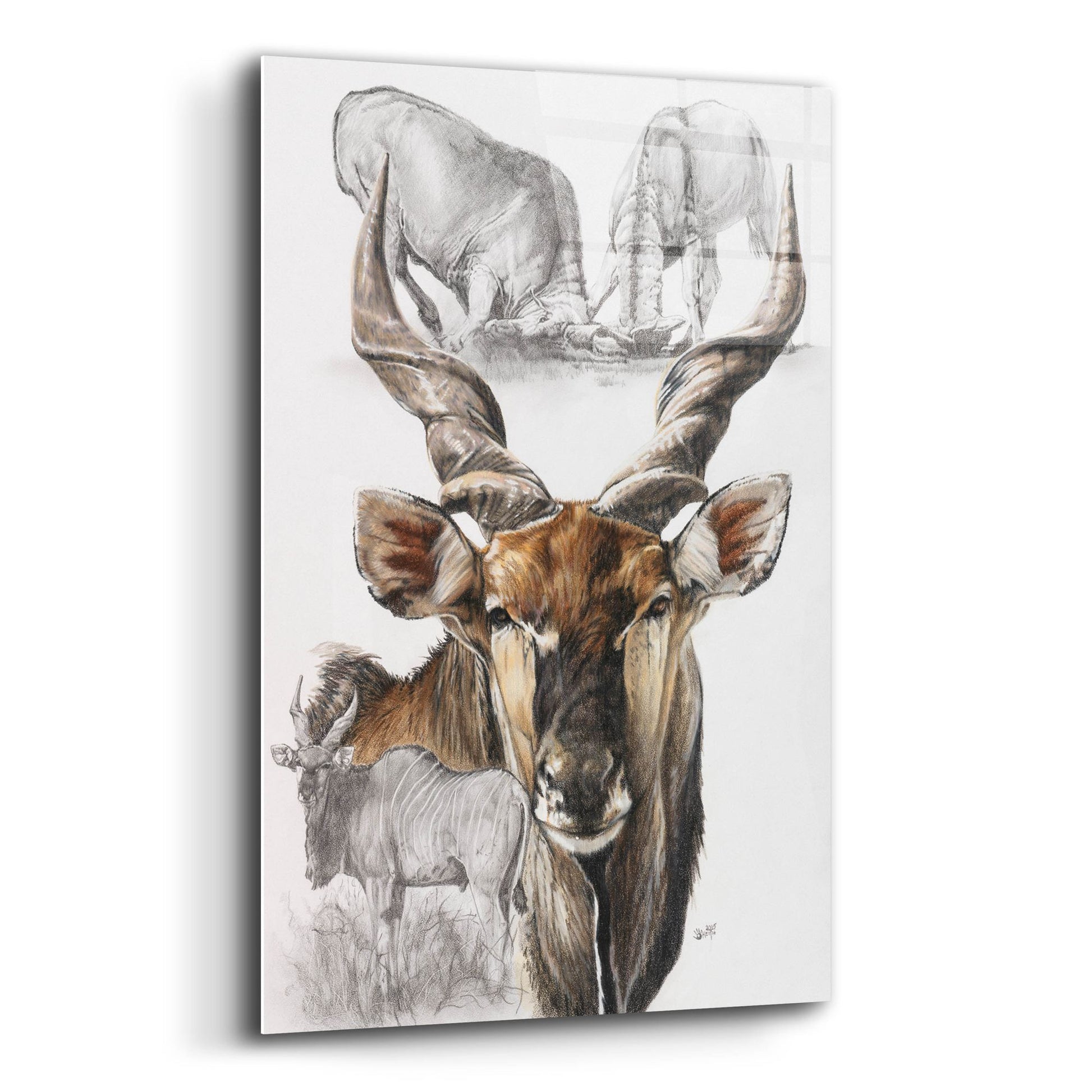 Epic Art 'Giant Eland' by Barbara Keith, Acrylic Glass Wall Art,12x16