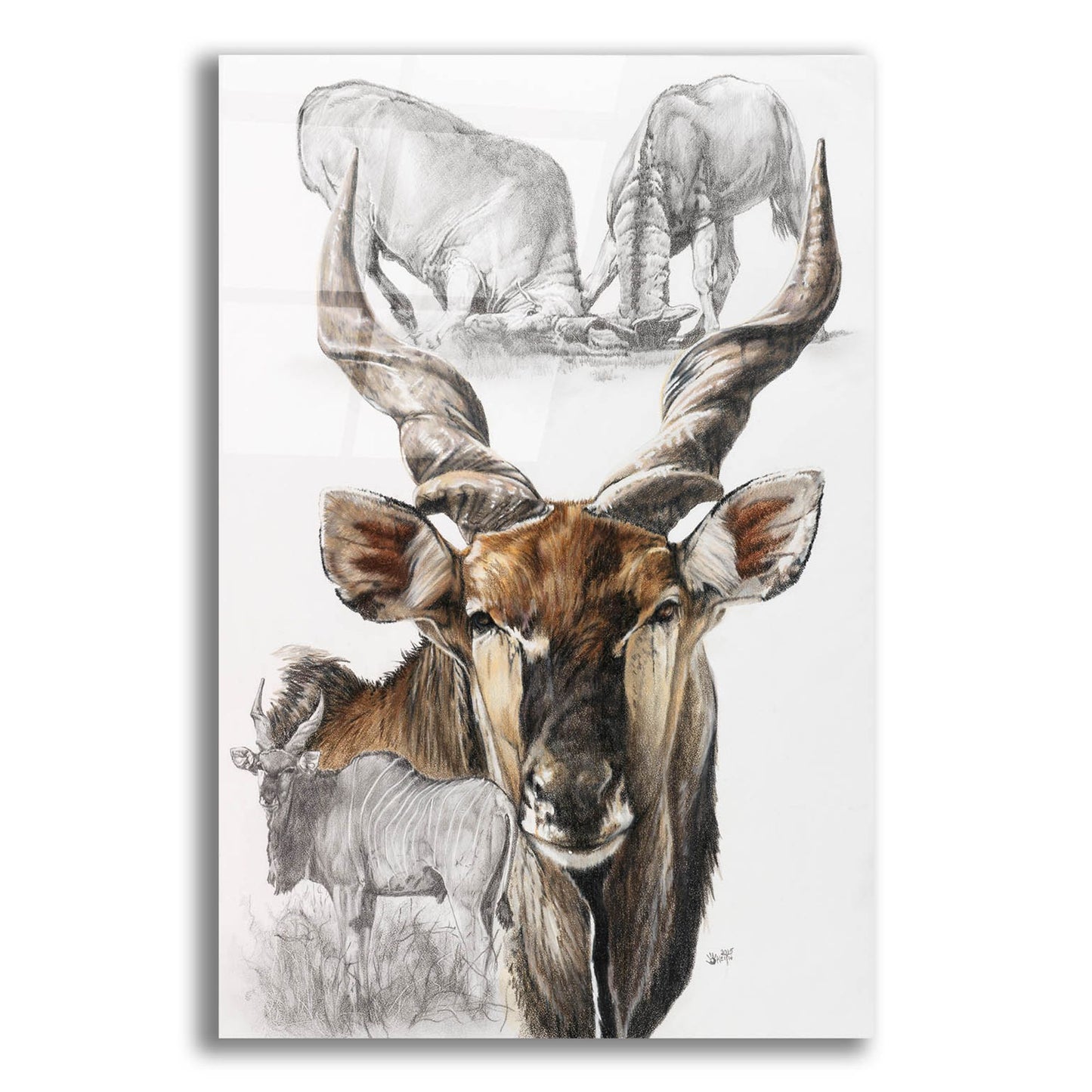 Epic Art 'Giant Eland' by Barbara Keith, Acrylic Glass Wall Art,12x16