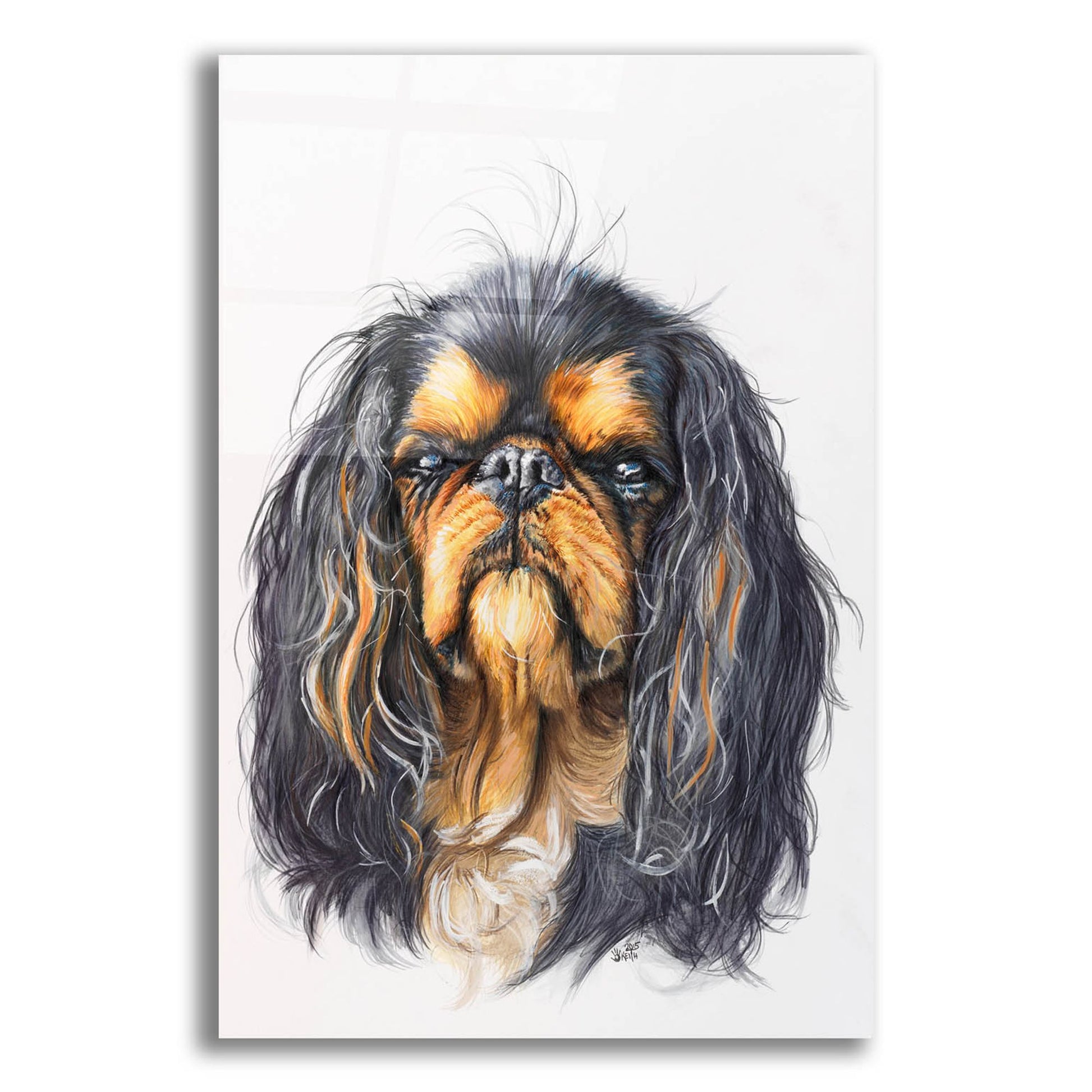 Epic Art 'King Charles Spaniel' by Barbara Keith, Acrylic Glass Wall Art,12x16