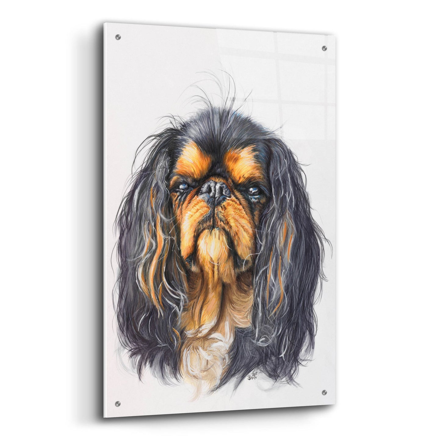 Epic Art 'King Charles Spaniel' by Barbara Keith, Acrylic Glass Wall Art,24x36