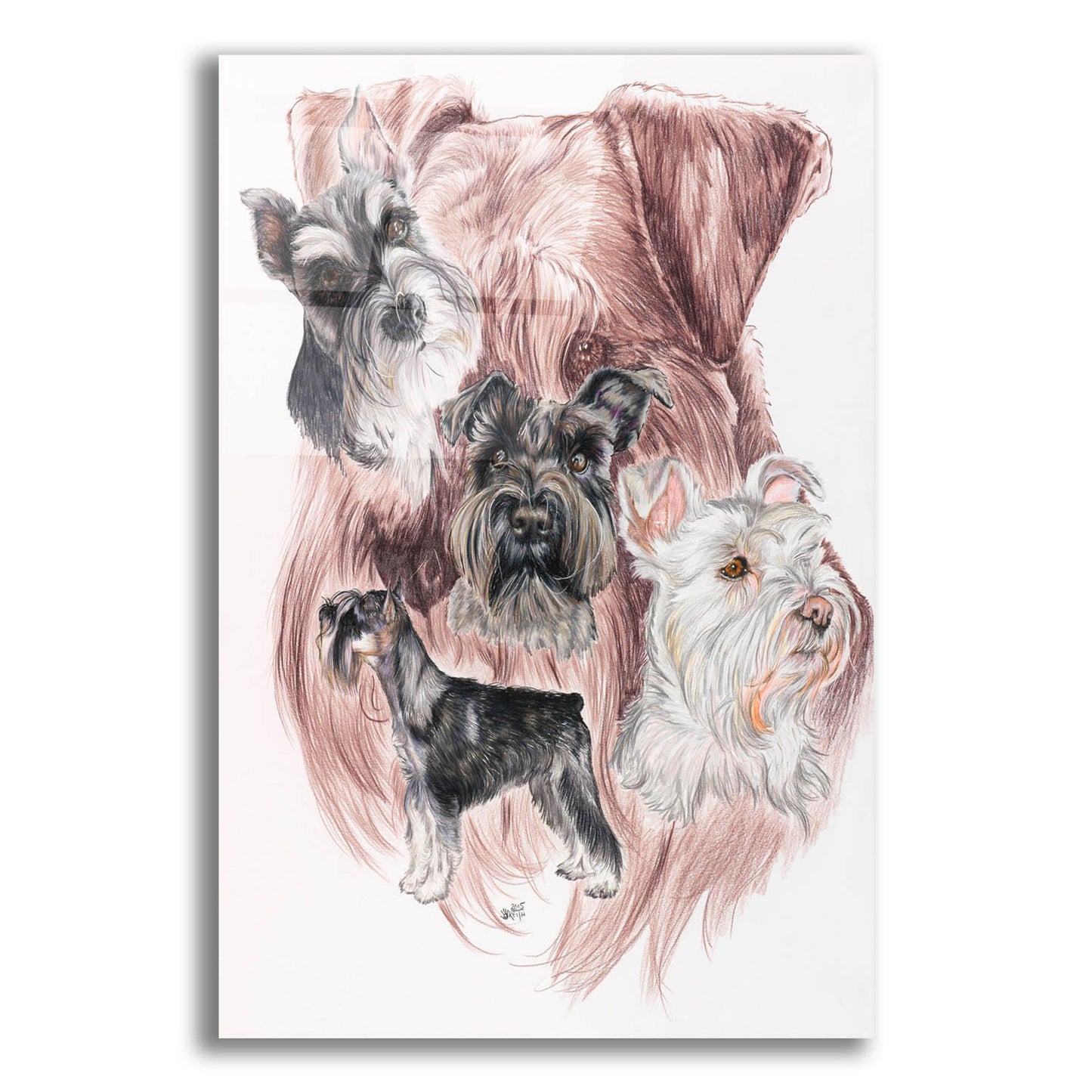 Epic Art 'Miniature Schnauzer' by Barbara Keith, Acrylic Glass Wall Art,12x16