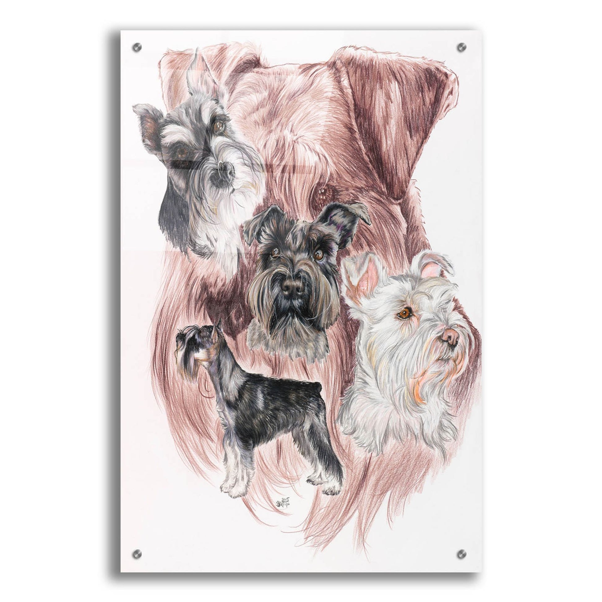 Epic Art 'Miniature Schnauzer' by Barbara Keith, Acrylic Glass Wall Art,24x36