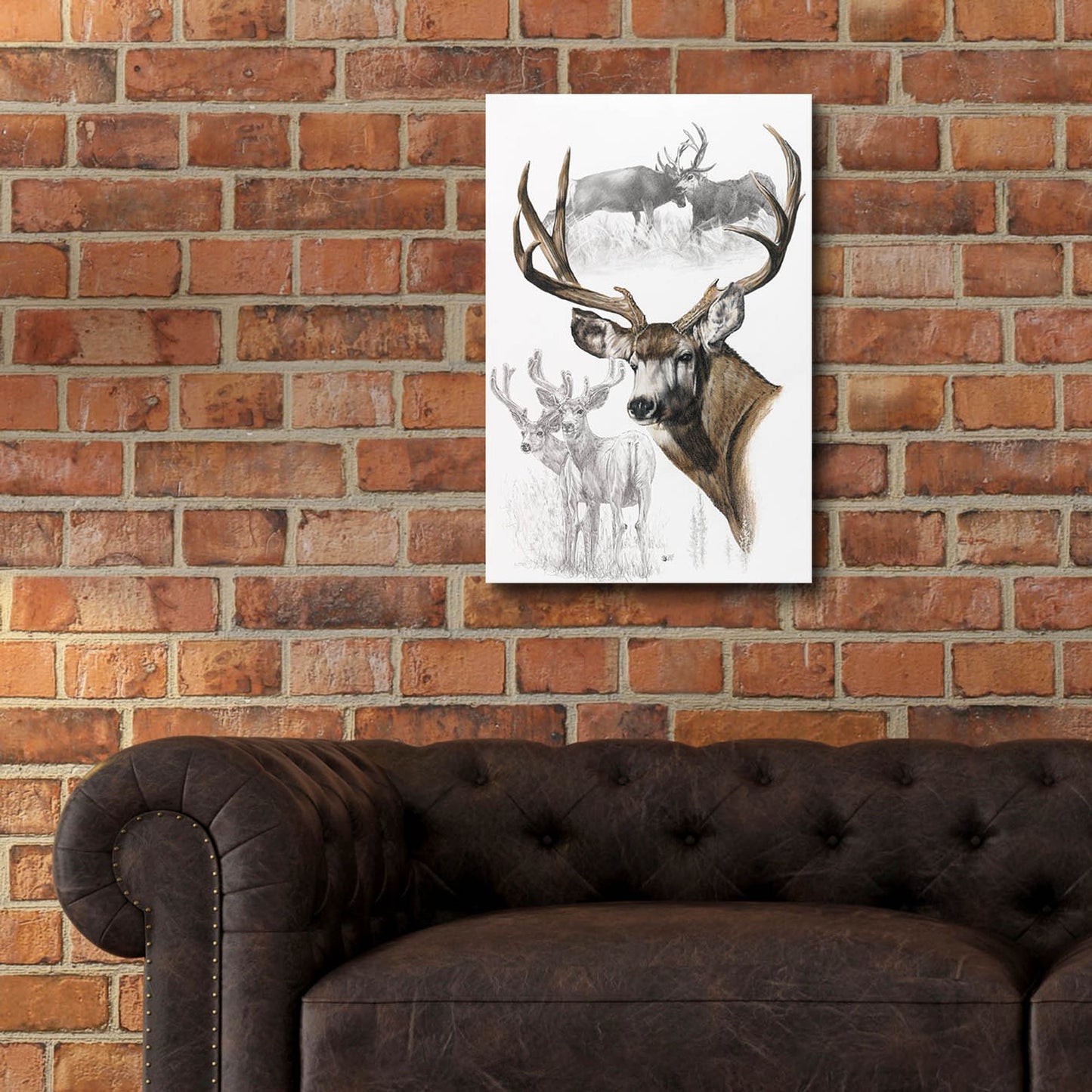 Epic Art 'Mule Deer' by Barbara Keith, Acrylic Glass Wall Art,16x24