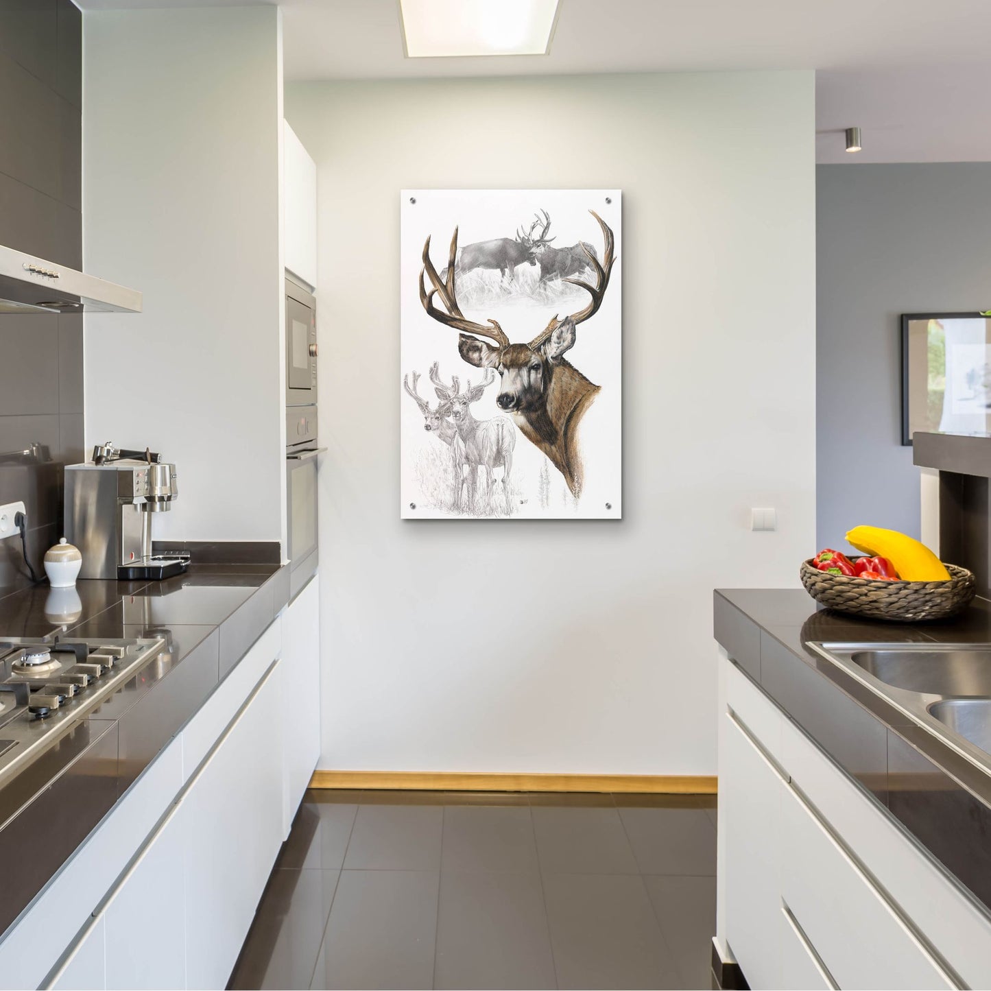 Epic Art 'Mule Deer' by Barbara Keith, Acrylic Glass Wall Art,24x36