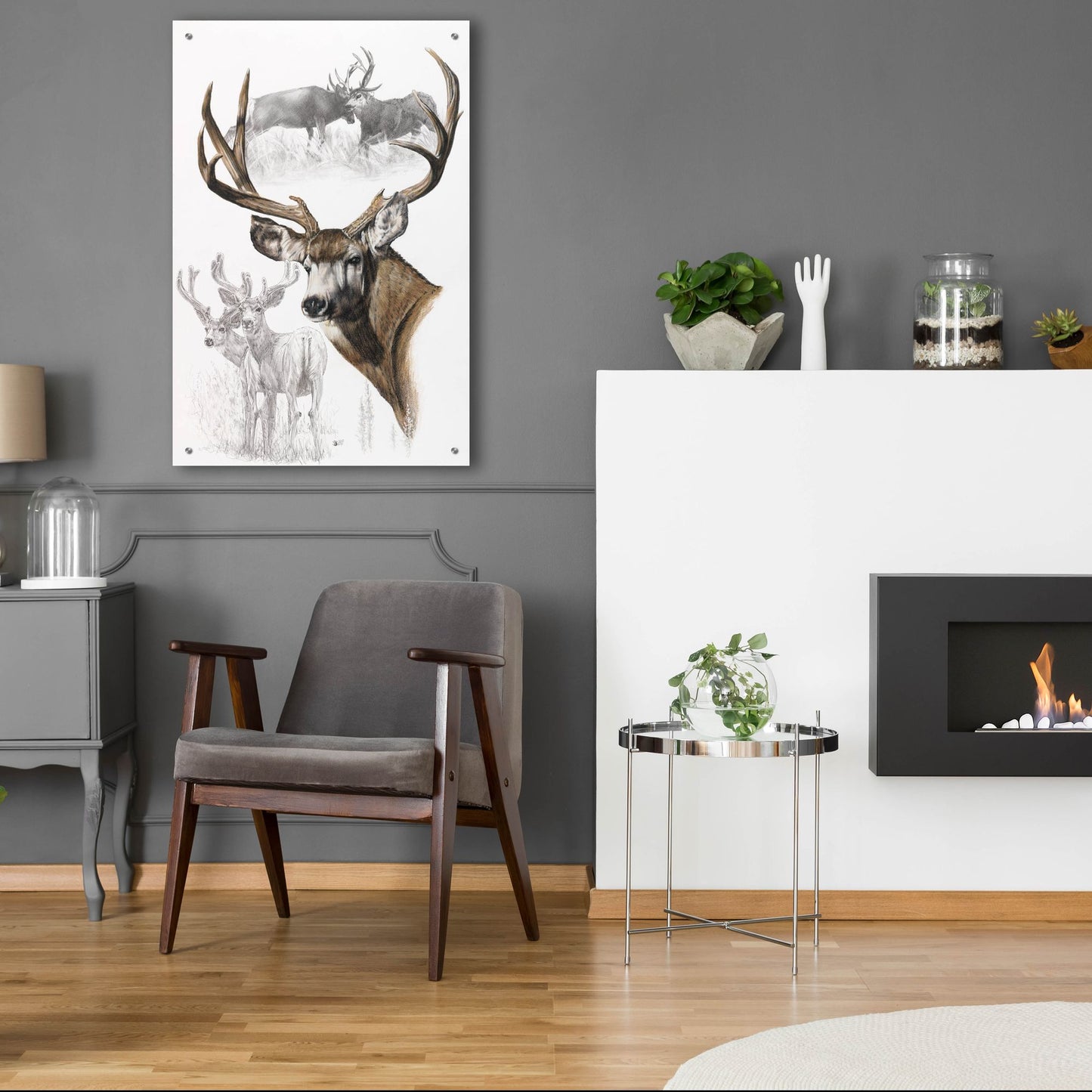 Epic Art 'Mule Deer' by Barbara Keith, Acrylic Glass Wall Art,24x36