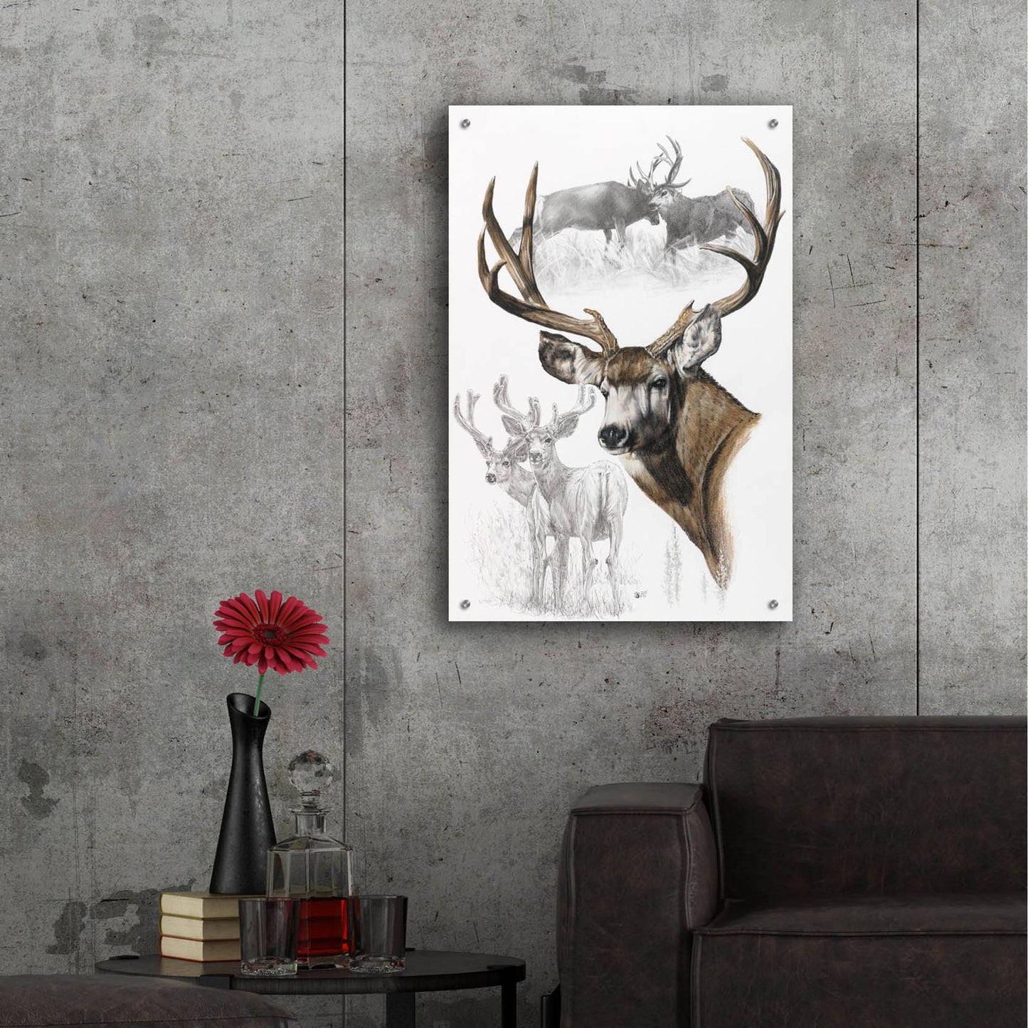 Epic Art 'Mule Deer' by Barbara Keith, Acrylic Glass Wall Art,24x36