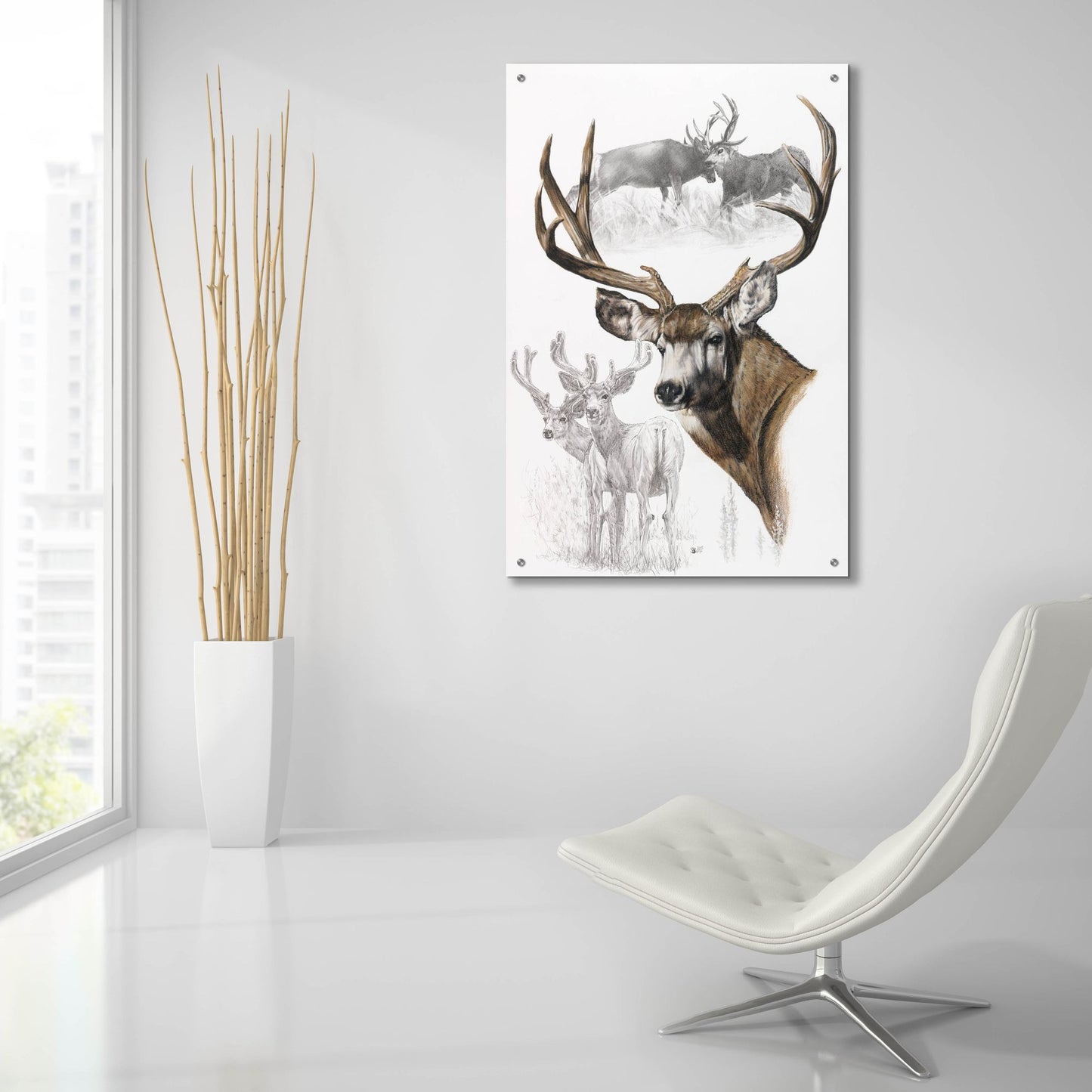 Epic Art 'Mule Deer' by Barbara Keith, Acrylic Glass Wall Art,24x36