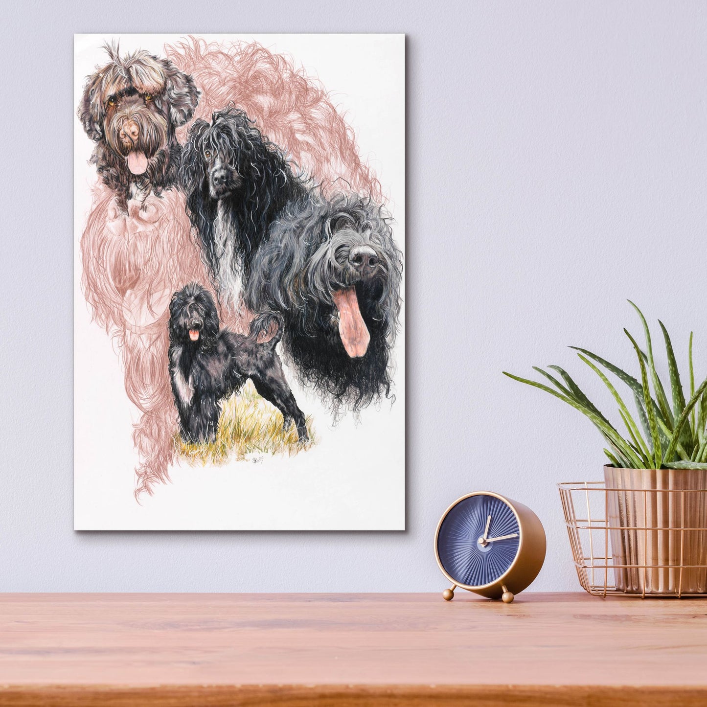 Epic Art 'Portuguese Water Dog' by Barbara Keith, Acrylic Glass Wall Art,12x16